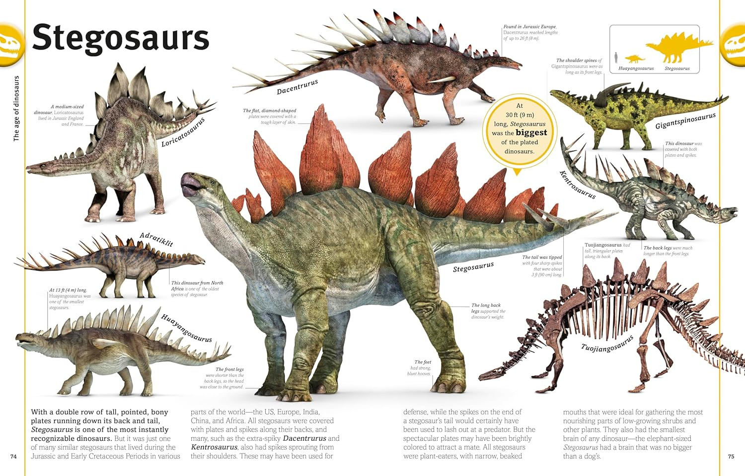 Our World in Pictures The Dinosaur Book