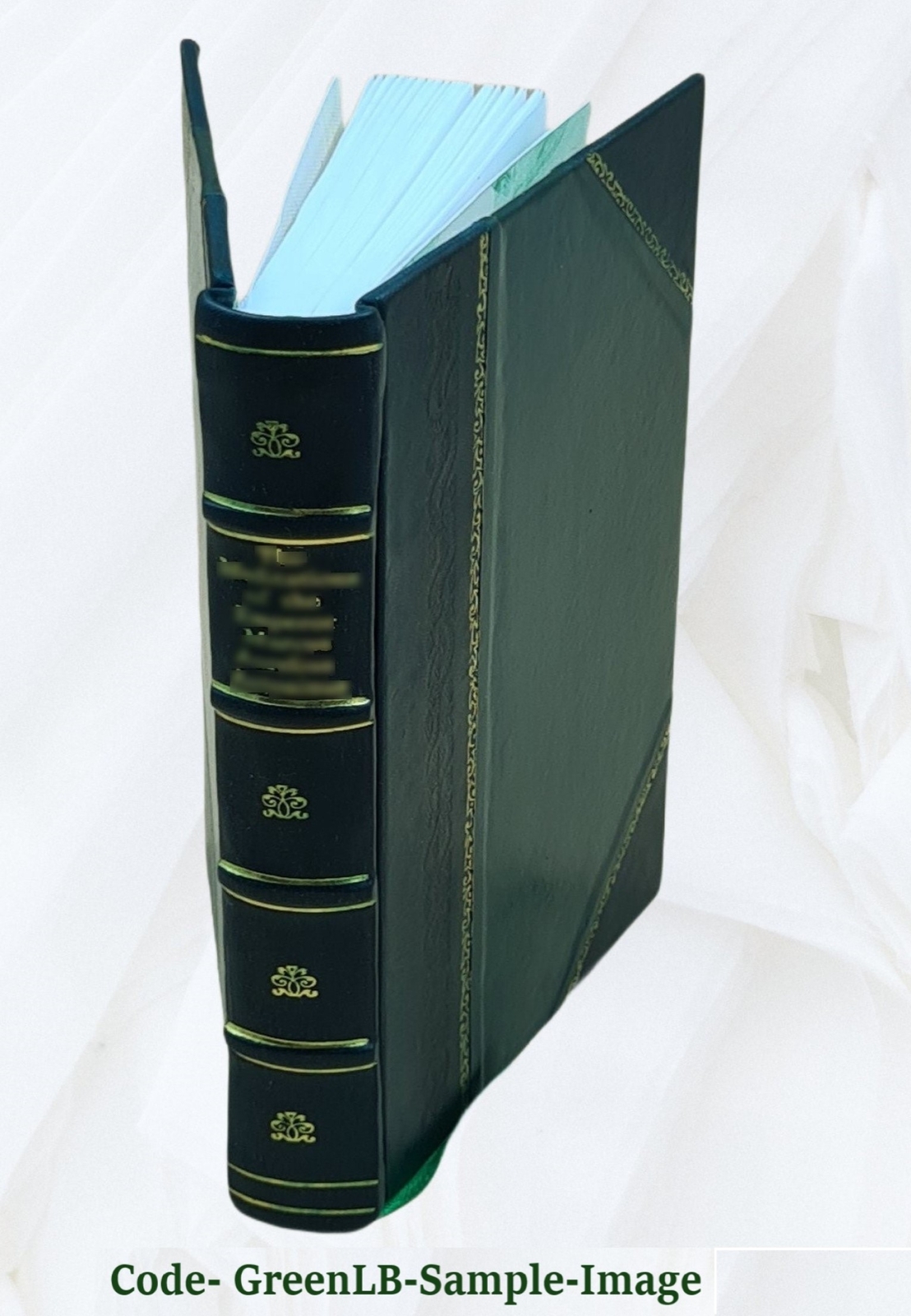 Witchcraft & Second Sight In The Highlands & Islands Of Scotland [Leather Bound]