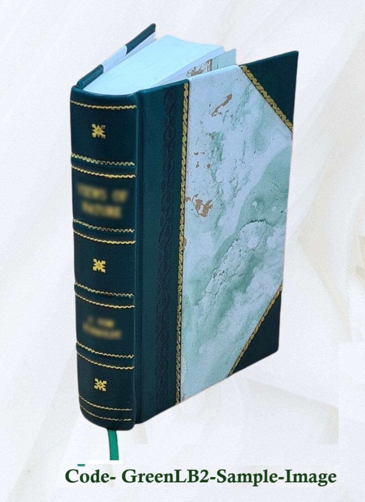 De Revolutionibus Orbium Coelestium 1473 [Leather Bound]
