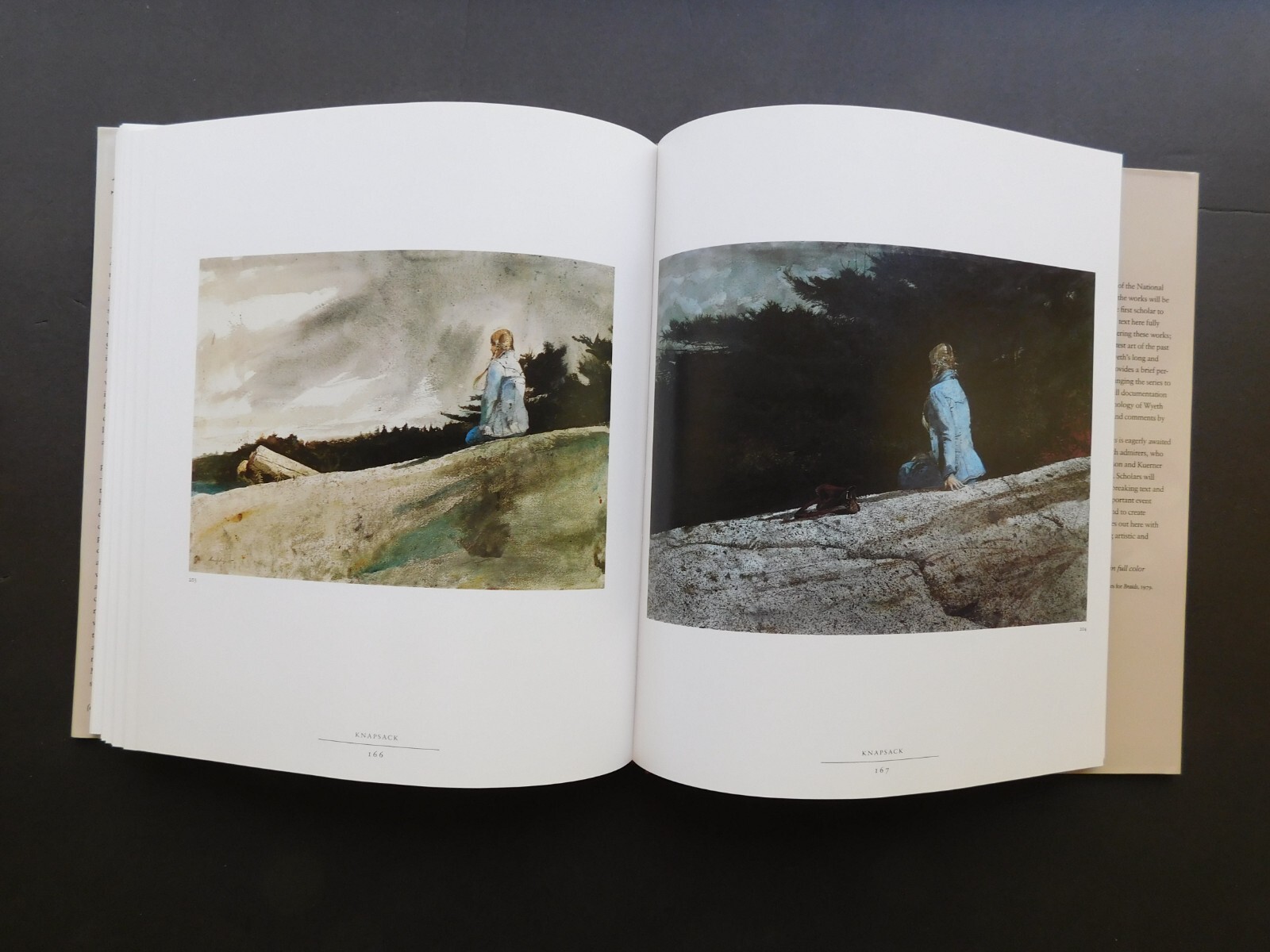 ANDREW WYETH Illustrated 1987 collection HELGA PICTURES Unread HCDJ 208 pages