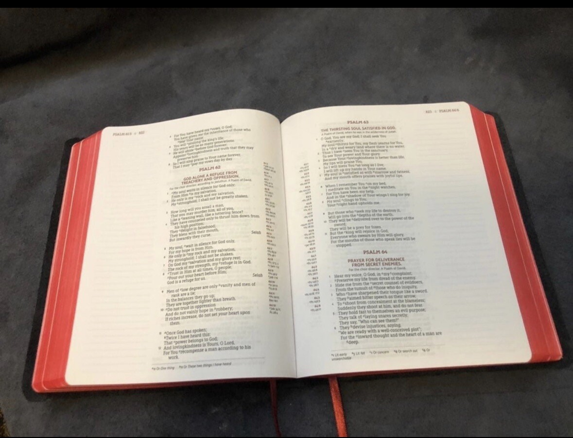 nasb journal the word New American Standard Black Leather Red Gilding Reference