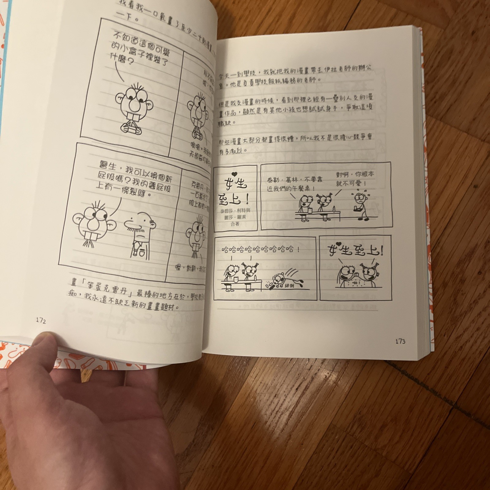 VERY RARE Limited Edition Graffiti Edition Diary of a Wimpy Kid Taiwanese Ver.