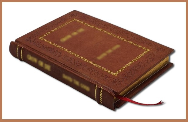 Supertato: Eviltato vs Superpea: A brand-new adventure i [Premium Leather Bound]