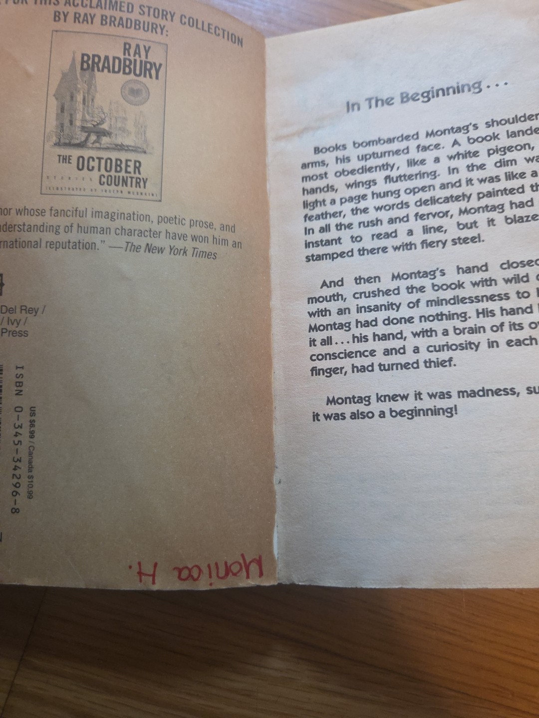 Fahrenheit 451 by Ray Bradbury