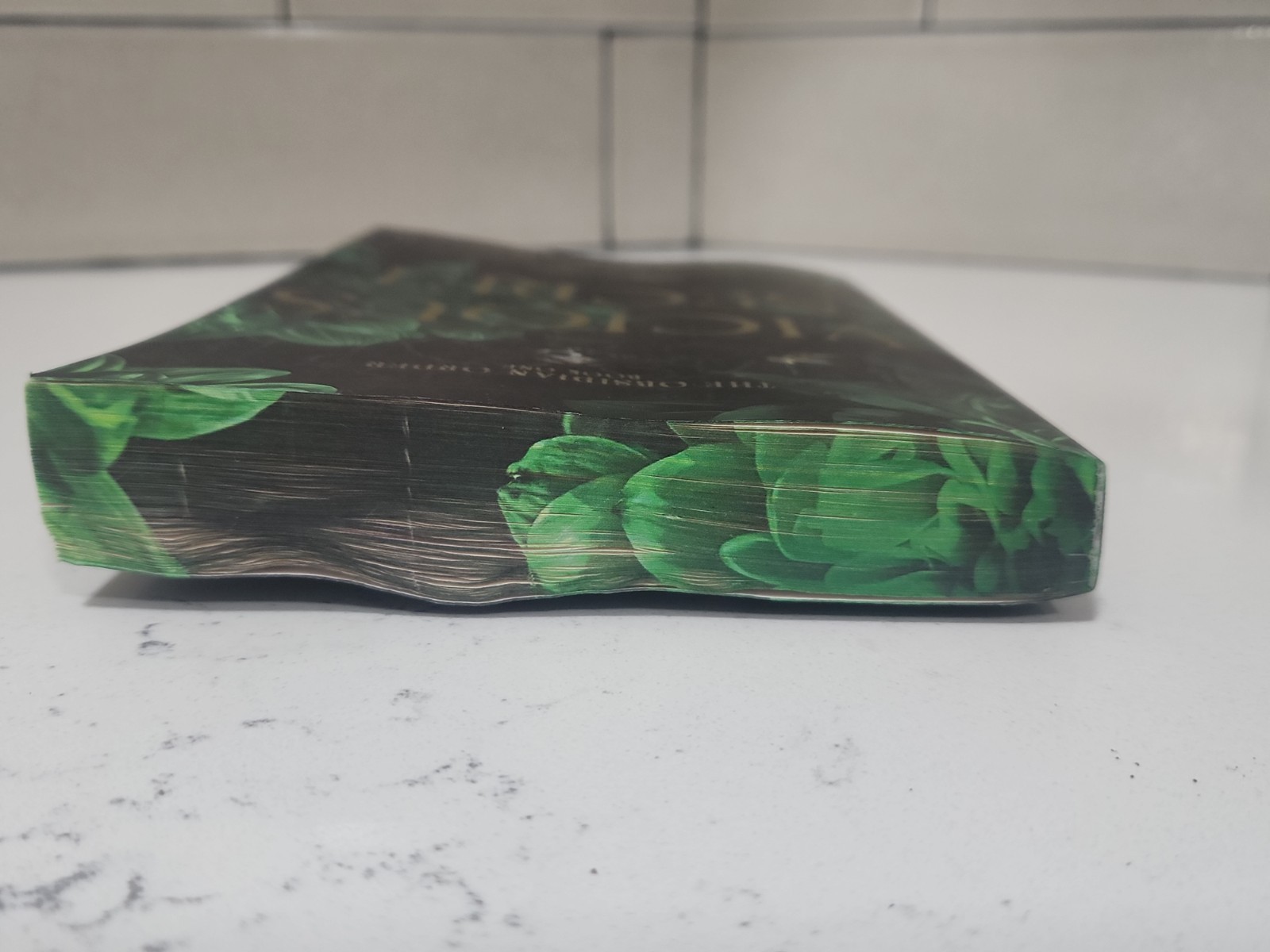 Vicious Secret: A Dark Romance (Deluxe Limited Edition) by Morgan Bridges Paperb