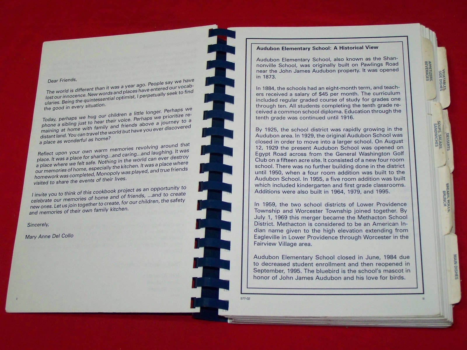 Audubon Elementary School Cookbook 2001 Audubon Pennsylvania 650+ recipes Nice