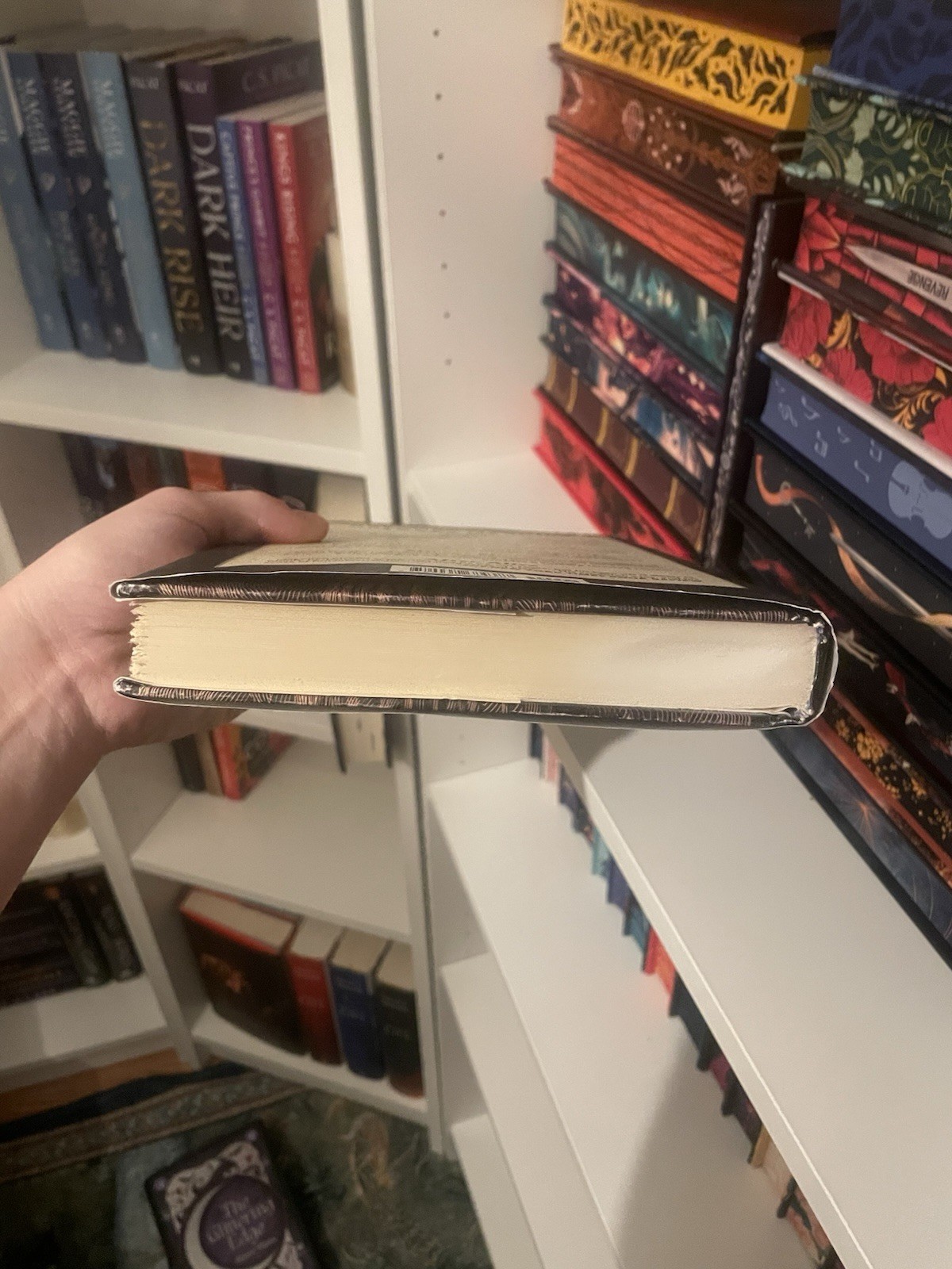 Hiddensee Gregory Maguire 2017 Hardcover Book Dust Jacket First Edition